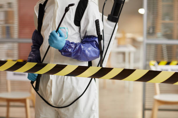 Professional Sewage Cleanup technician working in Webster, FL